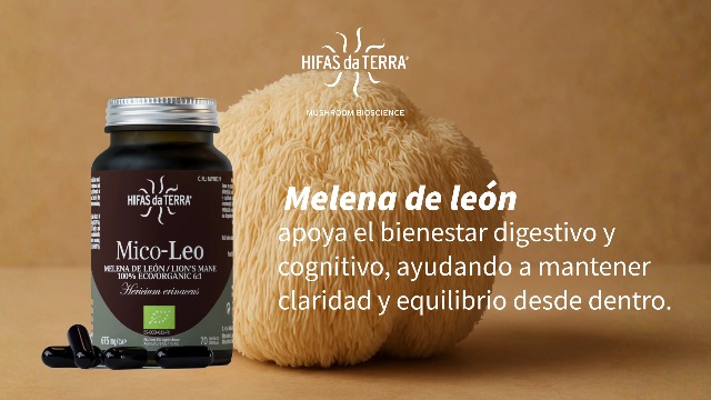 Mico Leo Hifas da Terra: Beneficios y Propiedades del Hongo Melena de León